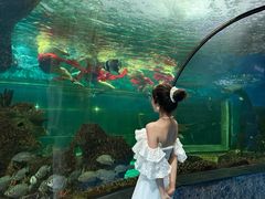 -大明湖海底世界