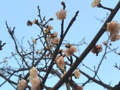 -梅溪湖城市岛