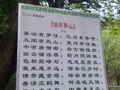 -灵光寺