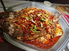 -马邦子·紫苏烤鱼(恒隆广场店)