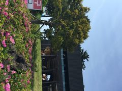 泰迪熊博物馆-济州岛泰迪熊博物馆