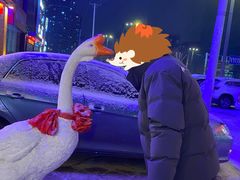 -山河屯铁锅炖(哈西站店)