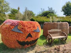 -武汉紫薇都市田园