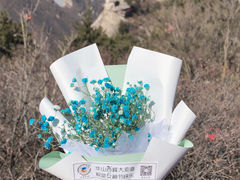 -华山风景名胜区