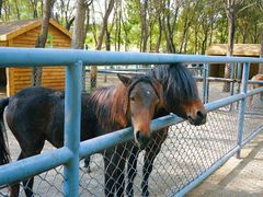 -长白岛森林公园