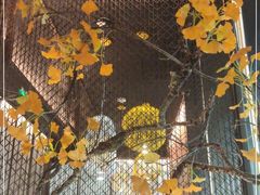 -京华烟云·北京烤鸭(领展购物广场·中关村店)