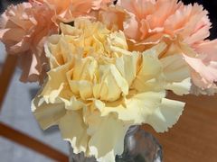 -榖屋house of flour(张江首店)