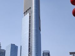 -紫峰大厦