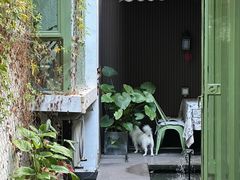 -绿房子方寸咖啡(星海名城店)