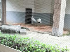 -南昌动物园
