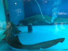 iphone_upload_pic-東海海鲜酒家(中信广场店)