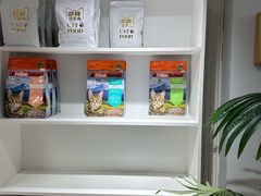 -青奢宠物·青奢猫舍