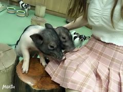 -藦茜花园宠物主题亲子互动体验馆(国顺东路店)