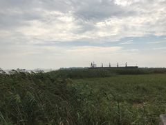 -吴淞炮台湾湿地森林公园烧烤区