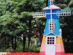 -上海共青森林公园