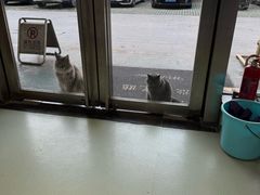 -美美宠物诊疗中心·异宠·骨科(滨江东信分院)