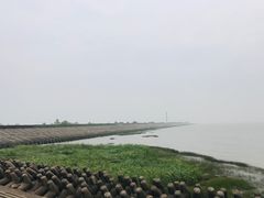 -江滩湿地公园