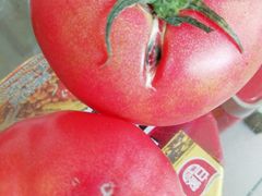 上汤娃娃菜-金阁家常菜(贵阳路店)