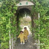 寻梦园