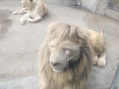 -南昌动物园