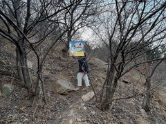 -老张烤羊(王哥庄店)