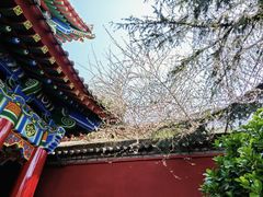 -西安市广仁寺