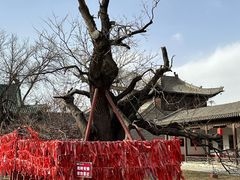 -代州文庙