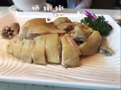 沙姜鸡-香港新发烧腊茶餐厅(书城店)