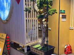 -鲁菜根·泰安菜(万达店)