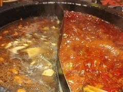 -蜀大侠火锅(总府路店)