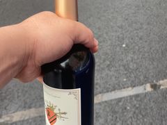 -美心红酒小镇游乐园