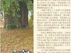 -清华大学玉泉医院