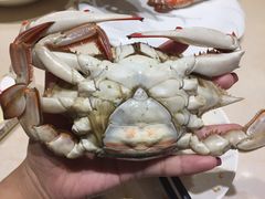 -海霸王特色海鲜家常菜(四合路店)