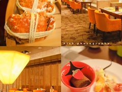 -北京首都机场希尔顿酒店