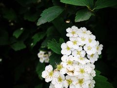 -紫霞湖公园