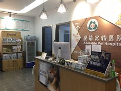 -美联众合宠物医院·爱萌分院·内外科·猫科中心