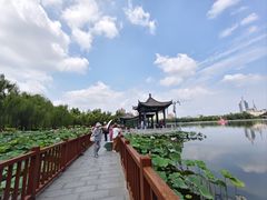 -莲花池公园