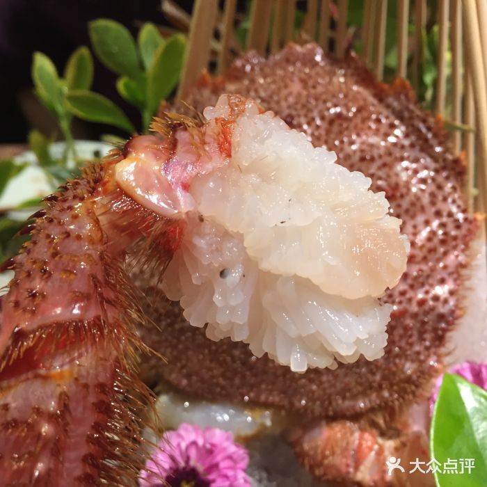 萤初炉端烧(滨湖店)红毛蟹刺身图片 - 第1179张