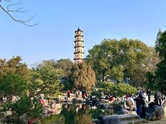 -江心屿景区