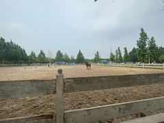 -北京群众马术培训基地