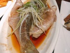 清蒸鲈鱼-梁记粥铺(开元地中海店)