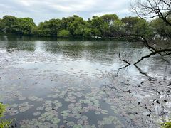 -杭州香格里拉·香宫中餐厅