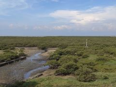 -北海金海湾红树林生态旅游区