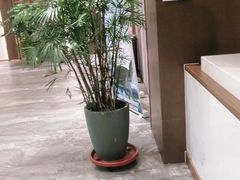 -锋味餐厅(空港复悦里店)