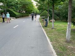 -长白岛森林公园