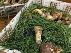 -南渝食府.石锅鸡(尚城花园店)