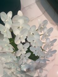 -欧扬医疗美容