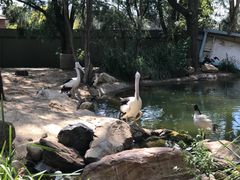 -费瑟代尔野生动物园