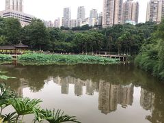 -龙头寺公园