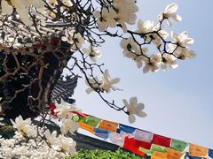 -西安市广仁寺